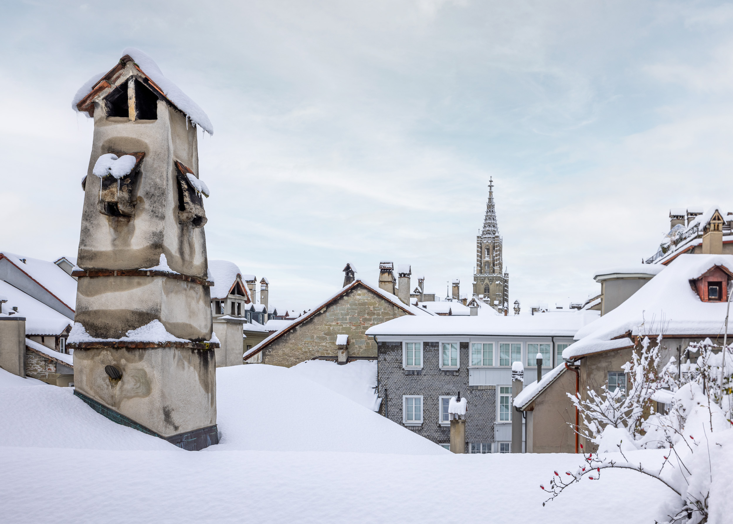 Blick über verschneite Dächer der Berner Altstadt mit dem Turm des Berner Münsters im Hintergrund.