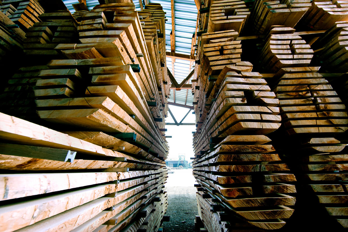 Blick durch einen Lagergang mit hohen Stapeln aus langen Holzbohlen. Die Balken sind in Schichten gelagert und bilden rechts und links dichte Holzwände. Oben spannt sich ein Hallendach mit Stahlträgern, am Ende des Gangs ist Tageslicht sichtbar.