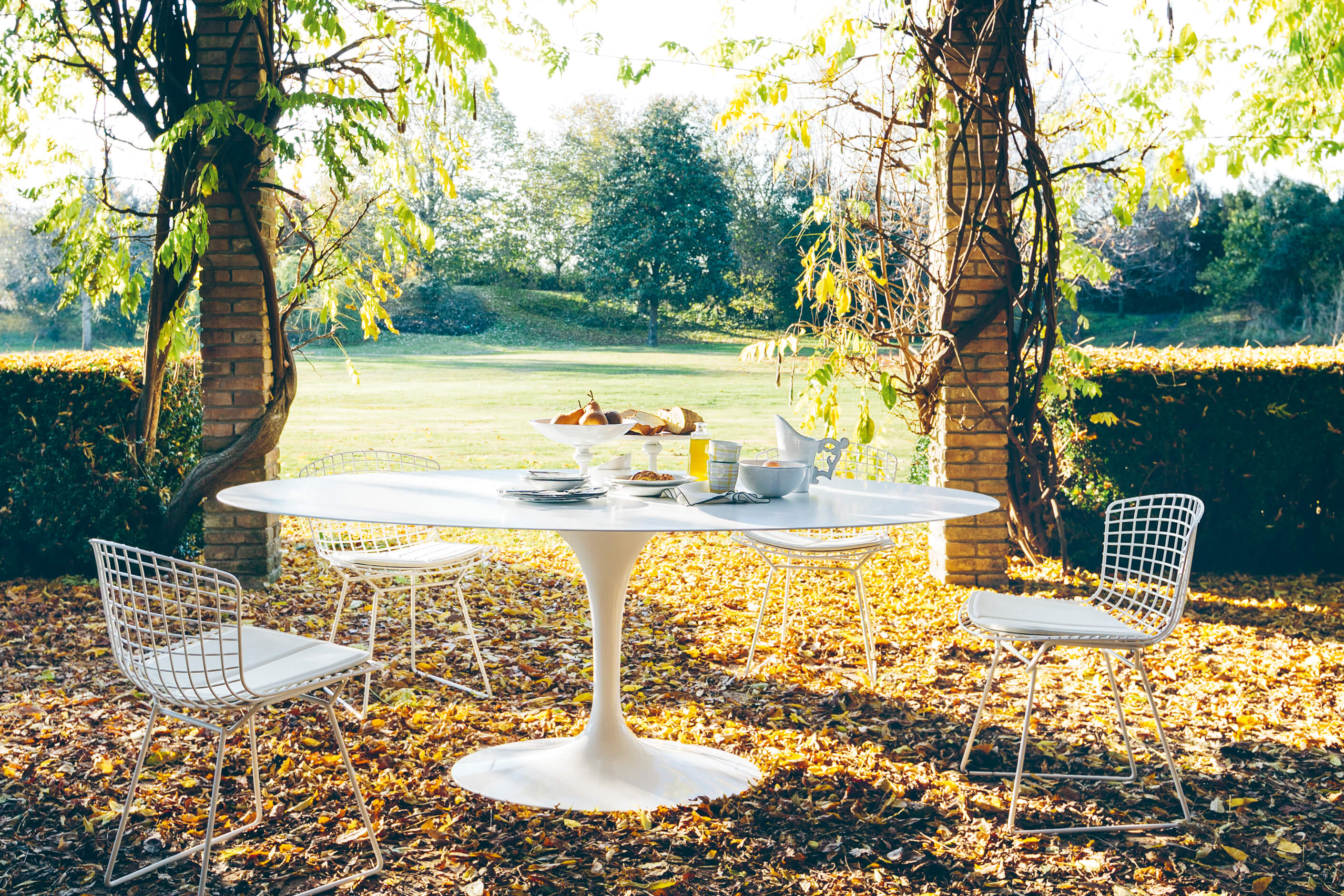 Weisser Tulip Esstisch mit gedecktem Frühstück im Garten, umgeben von weissen Drahtstühlen. Herbstlaub bedeckt den Boden unter einer Pergola mit Backsteinpfeilern und Ranken, im Hintergrund eine sonnige Wiese mit Bäumen.