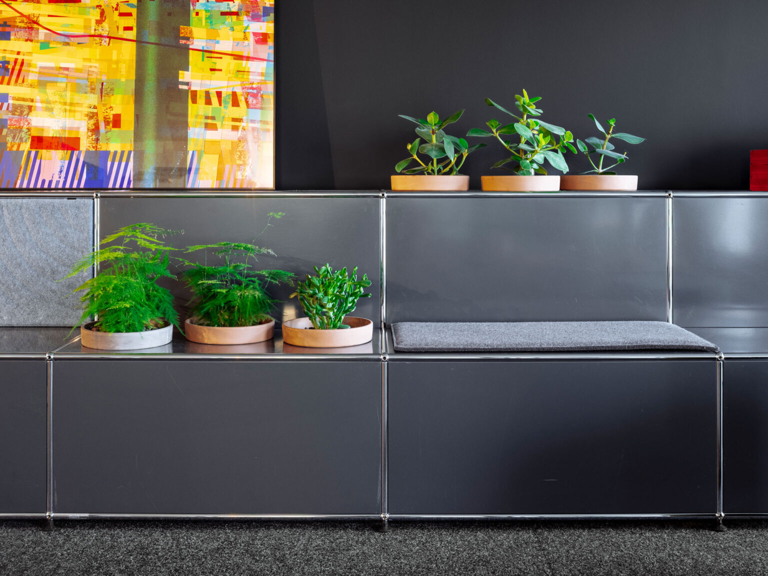 Dunkles Sideboard mit Pflanzen vor schwarzer Wand.