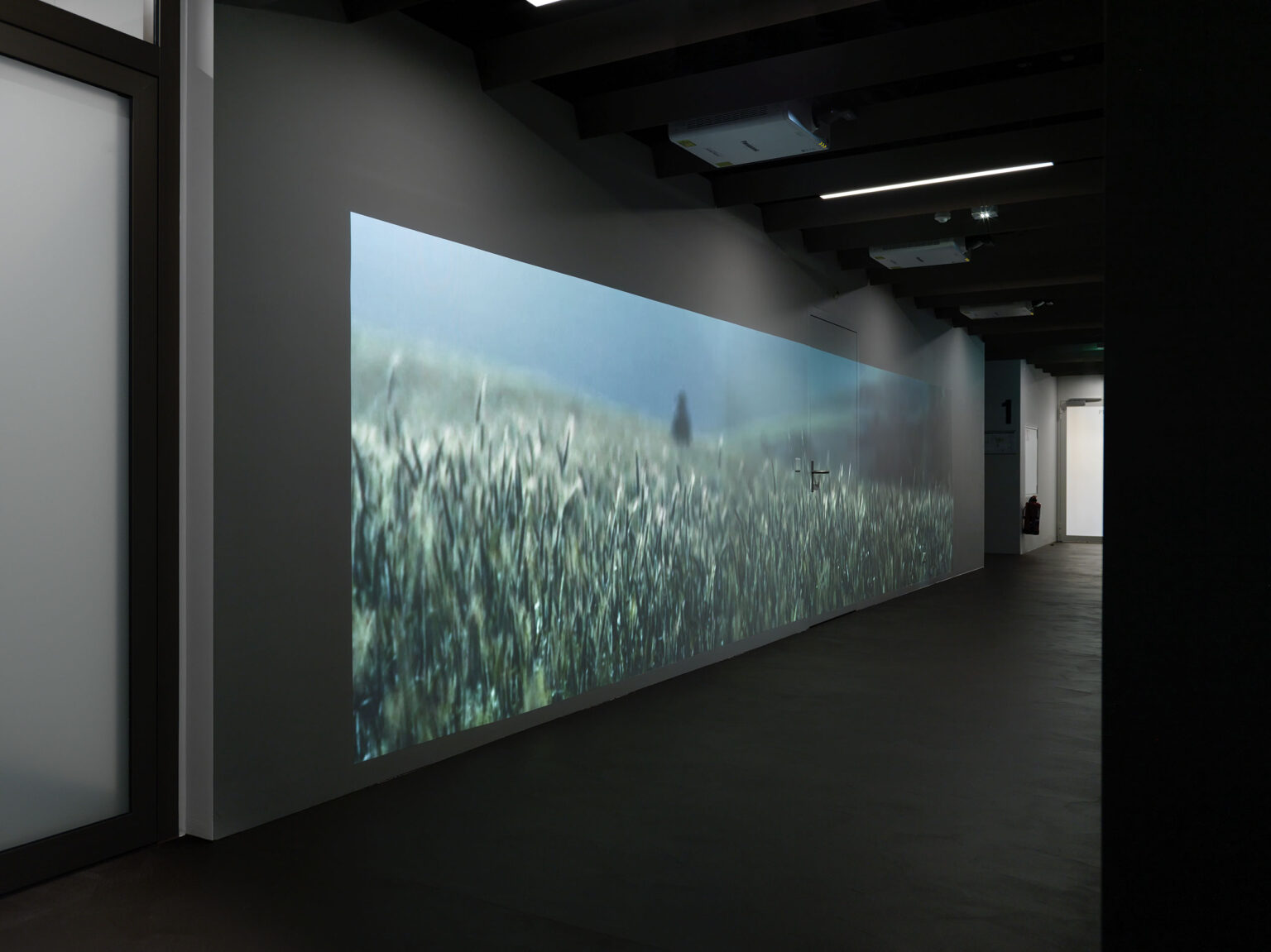 Flur mit grossformatiger Projektion einer Wiesenlandschaft an der Wand.