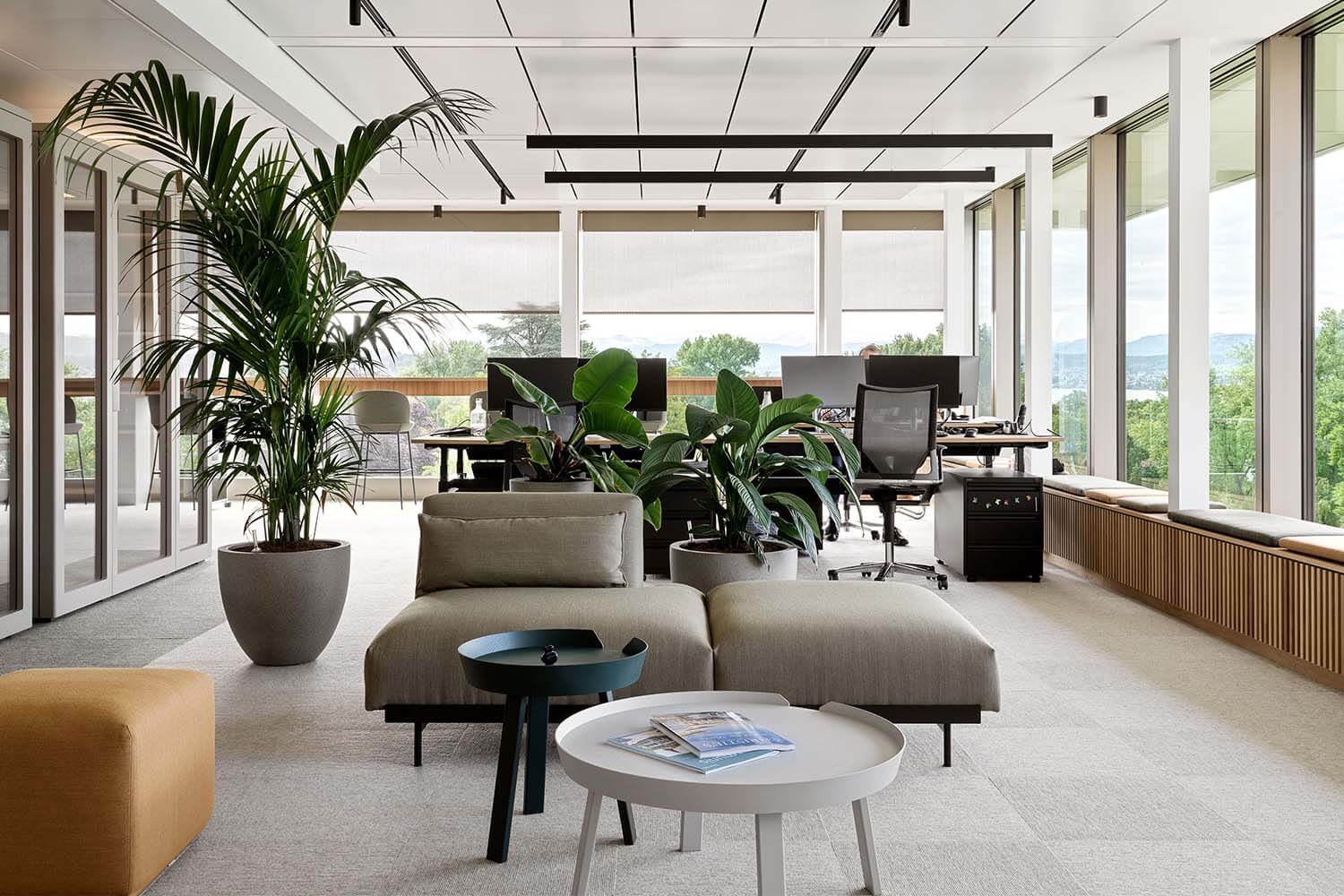 Modernes Buero mit Loungezone, Pflanzen und grossen Fensterfronten mit Ausblick.